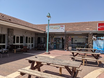 Parrot Yhuda