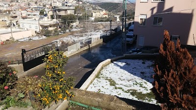 Paz