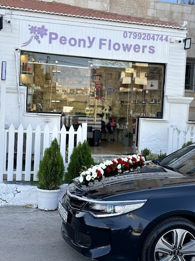 Peony Flowers