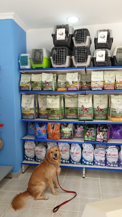 Pet Sky Lebanon