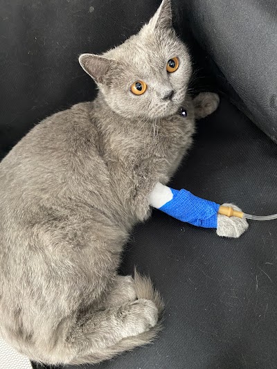 PETA VETERİNER KLİNİĞİ ve Hayvan Oteli