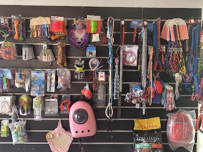 pets corner