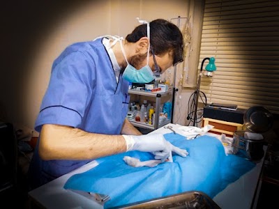 pet's paradise veterinary clinic عيادة جنة الحيوانات البيطرية