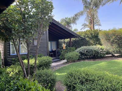 Pine Tree Cabin