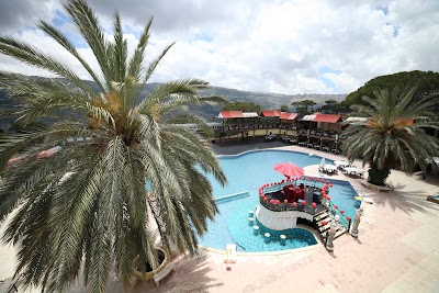 Pineland Hotel and Health Resort