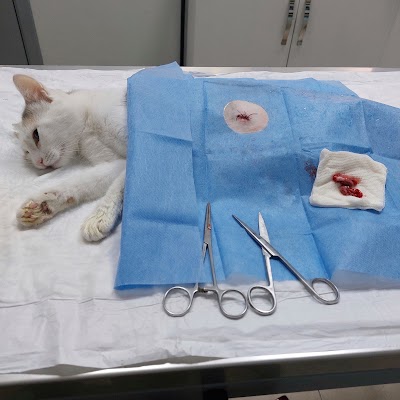 polvet Veteriner- Pet Kliniği