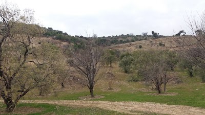 Ptt-karbeyaz Acentesi