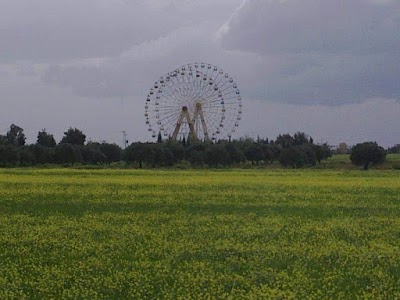 رابية الترنبة