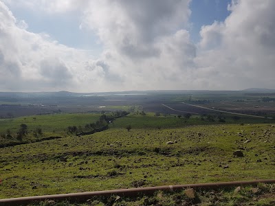 Rainbow Plantation