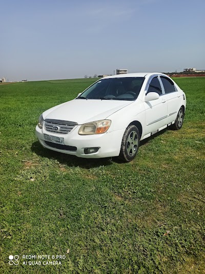 رامي رجو تجارة سيارات