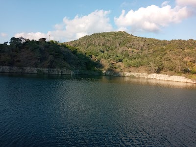 رأس الرائد العربي