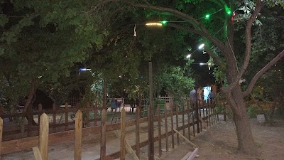 ربوة العاصي