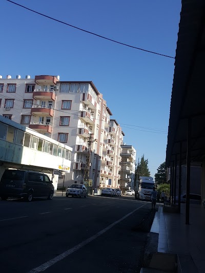 Reyhanli Anadolu Imam Hatip Lisesi