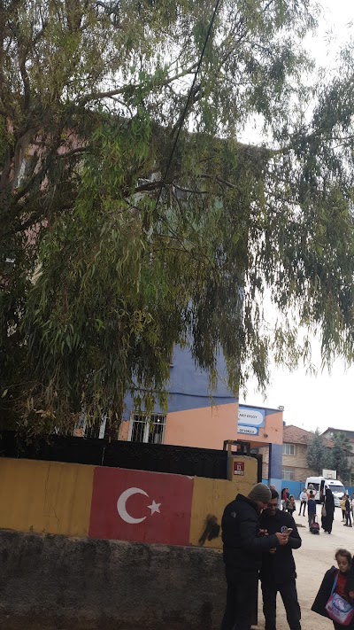 Reyhanli Ilkogretim Okulu