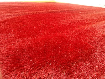 Rotana carpeting