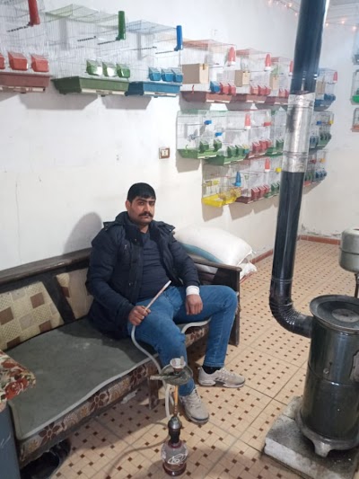 رشو ابو فرهاد