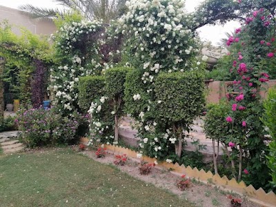ساحة ابن النفيس