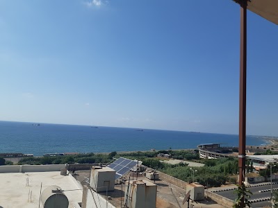 صالة النور للإسفنج والسجاد