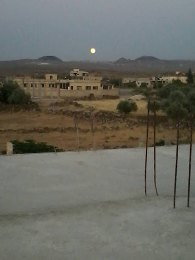 Salakhid