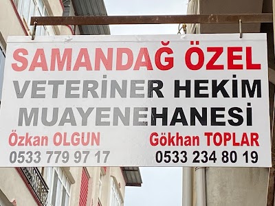 SAMANDAĞ ÖZEL VETERİNER HEKİM MUAYENEHANESİ ÖZKAN OLGUN & GÖKHAN TOPLAR
