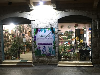 Samira's Cactus & Succulents