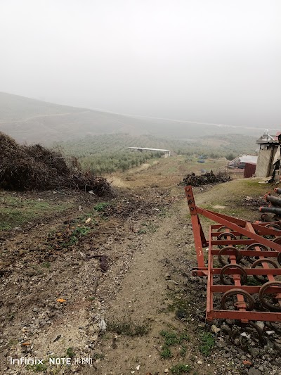 Saribuk Mehmet Nazim Halefoglu Ilkogretim Okulu