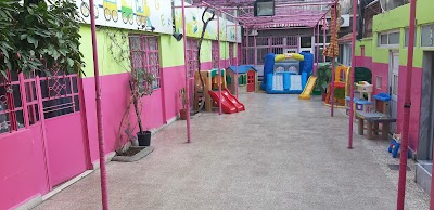 School Albulabl nest