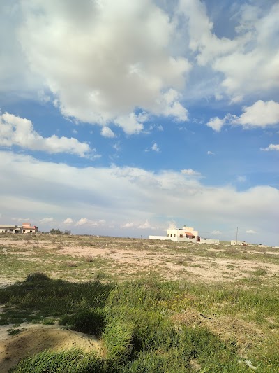 صدد