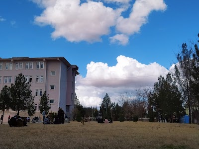 ŞEHİT NURCAN KARAKAYA ANADOLU LİSESİ(ŞENKAL)