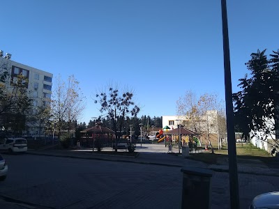Serbest Muhasebeci Müslüm Türkdeniz