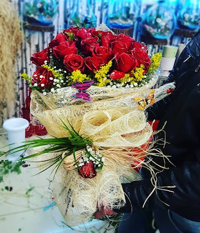 serenay çiçekçilik