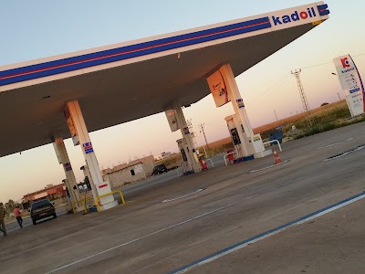 Seyidoglu Petrol Ltş