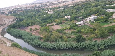 سفح البرناوي