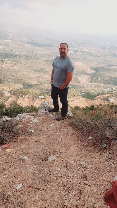 شادي داود