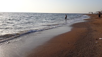 شاليهات ضباط طرطوس