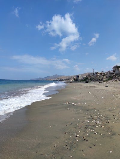 شاطئ أم الطيور