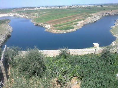 شمال حلفايا