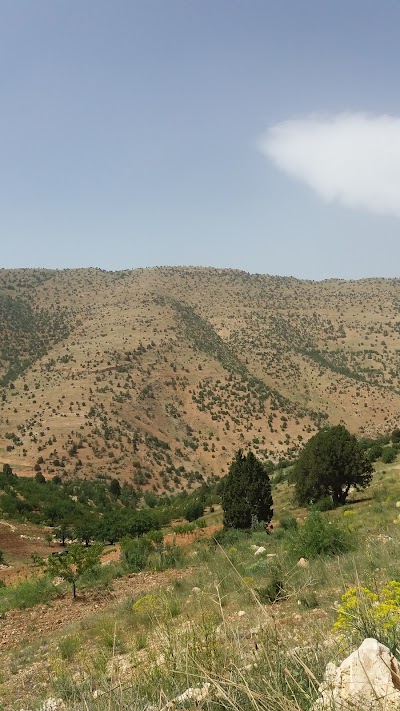 شركة الأطرش غروب