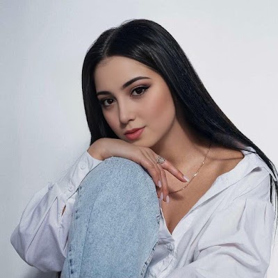 شركة المصري للصناعات المنزلية