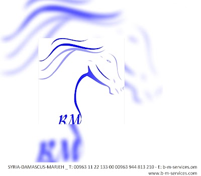 شركه B M