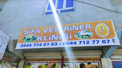 ŞİFA1 VETERİNER KİLİNİGİ