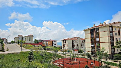 Siirt Il Emniyet Mudurlugu
