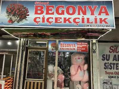 Silopi Begonya Çiçekçilik