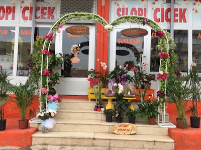 Silopi Flower House