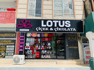 Silopi Lotus Çiçek&Çikolata
