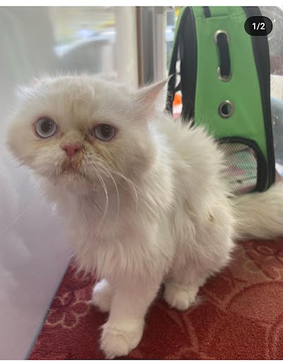 Silopi Zeki Veteriner Kliniği
