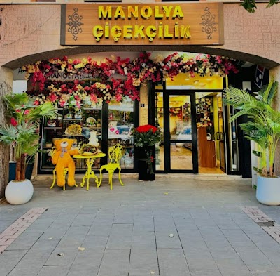 ŞIRNAK ÇİÇEKÇİLİK Manolya