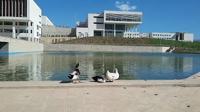 Şırnak Üniversitesi ( Mehmet Emin ACAR Kampüsü)