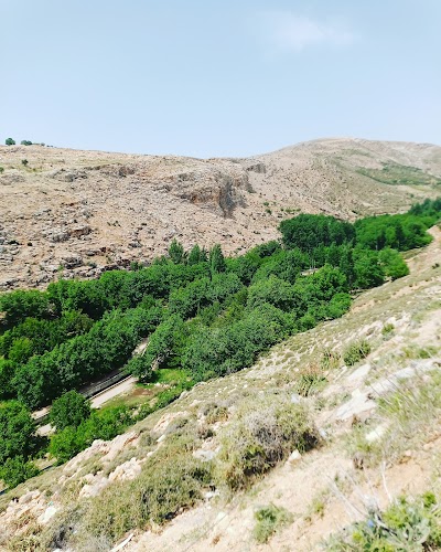 صخرة دودة