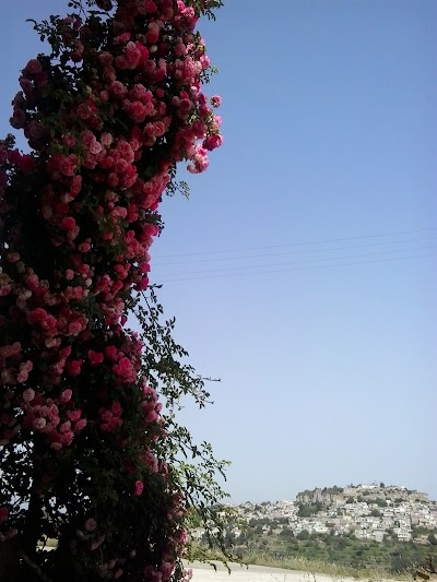 صلابة